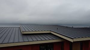 Best Sheet Metal Roofing  in Lake Hamilton, FL